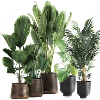 现代绿植盆栽3D模型下载